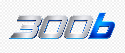 300b